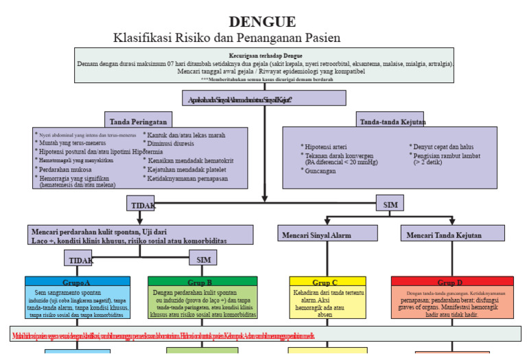Penanganan dan Klasifikasi Risiko Dengue | PDF