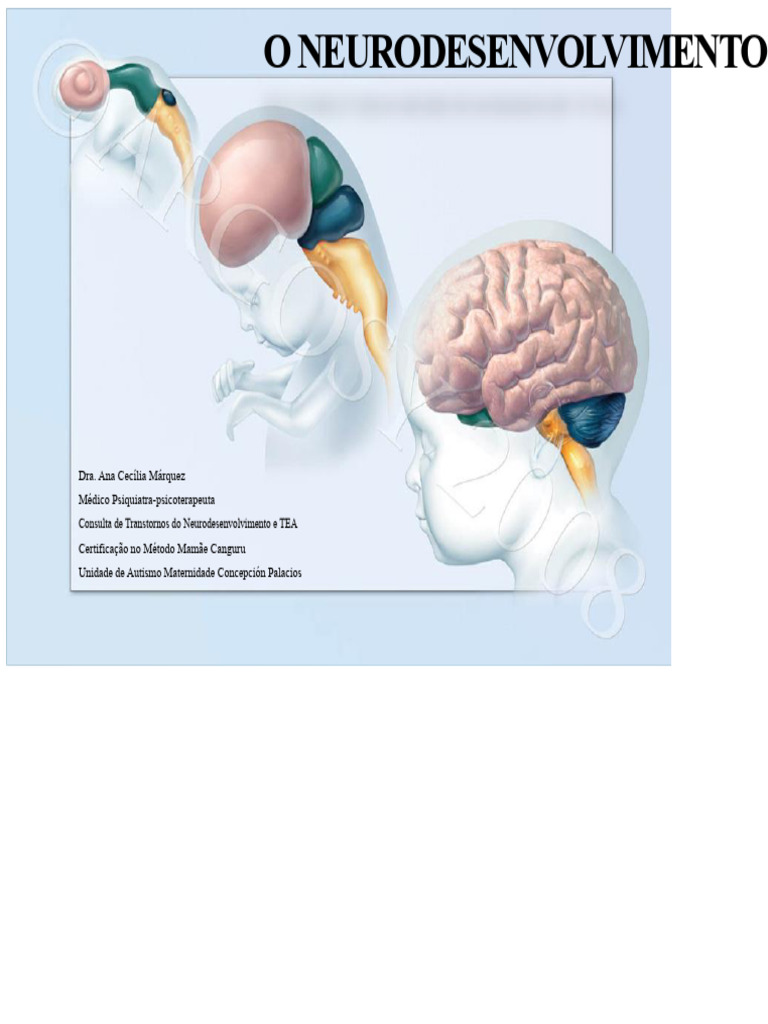 Transtornos do Neurodesenvolvimento e TEA | PDF | Autismo | Transtorno ...