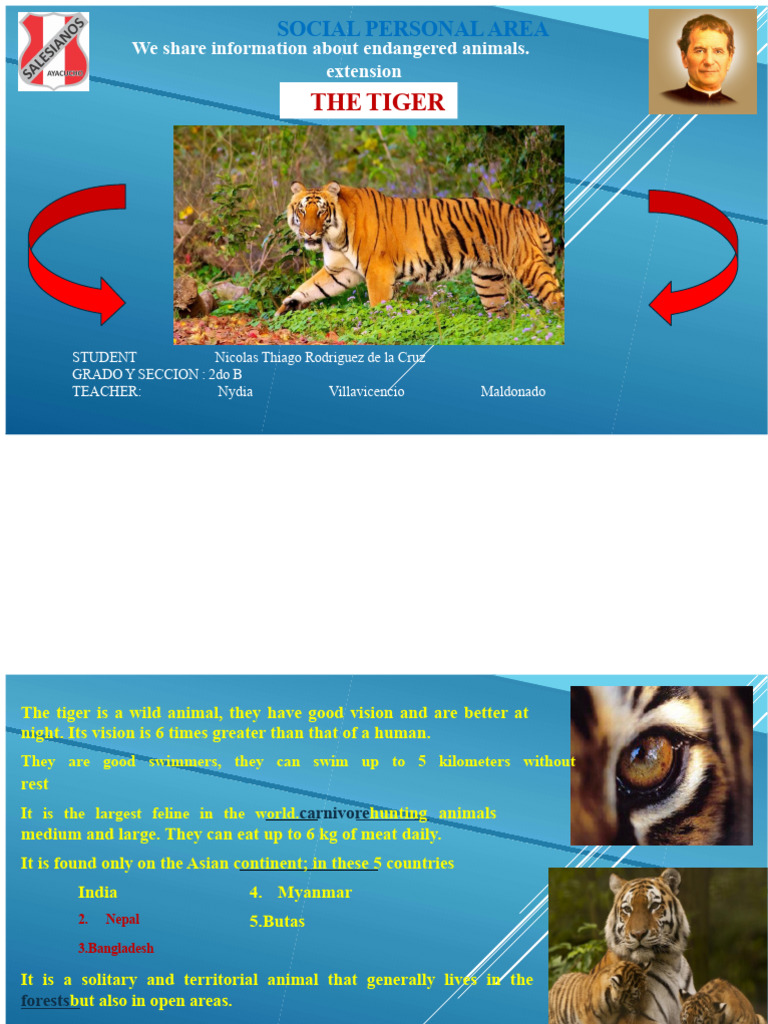 The tiger | PDF | Tiger | Extinction