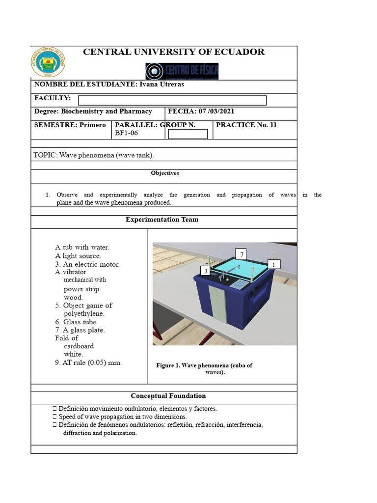Wave Phenomena Experiment Guide | PDF | Waves | Diffraction