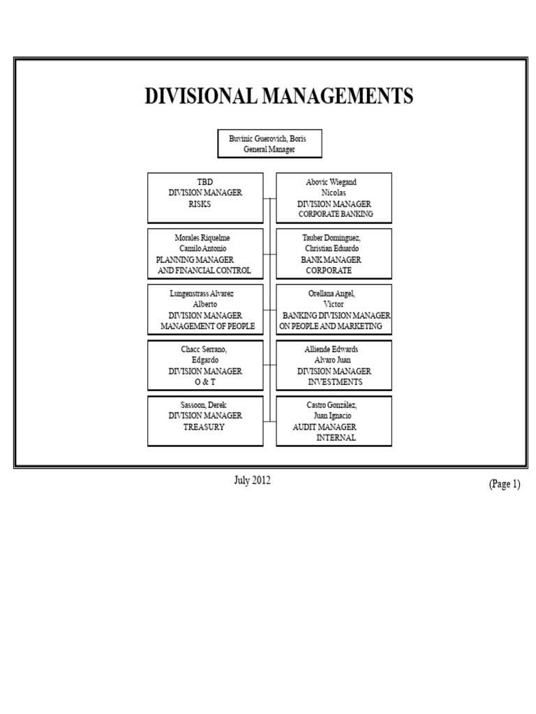 Division Management Structure Overview | PDF