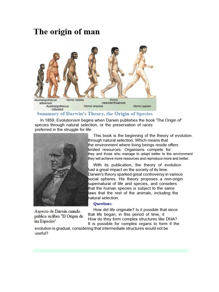The Origin of Man | PDF | Homo | Evolution