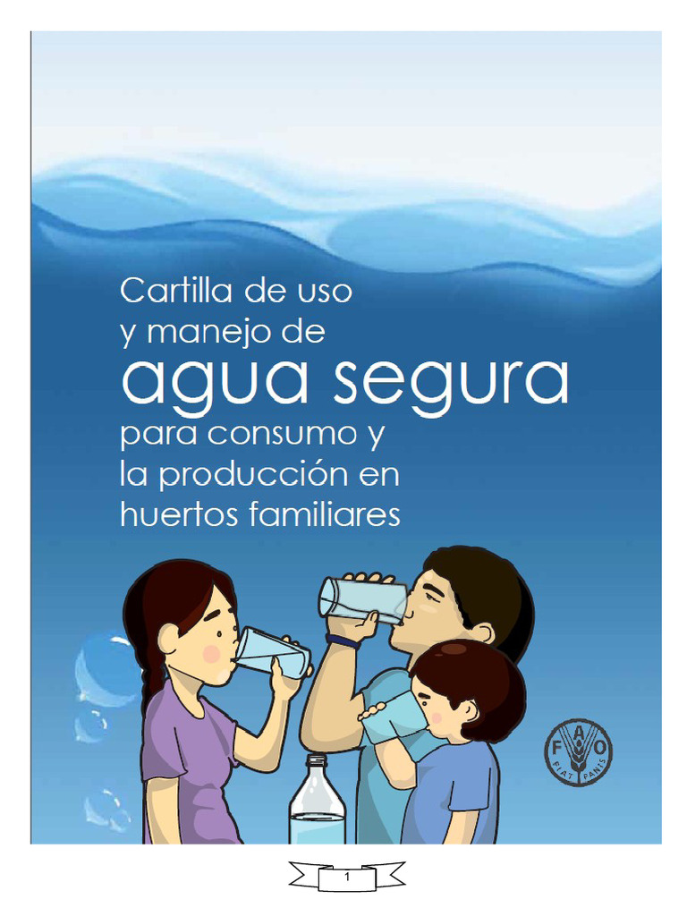 Importance of Safe Water Consumption | PDF | Drinking Water | Water