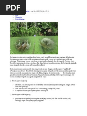 BEBEK  PDF