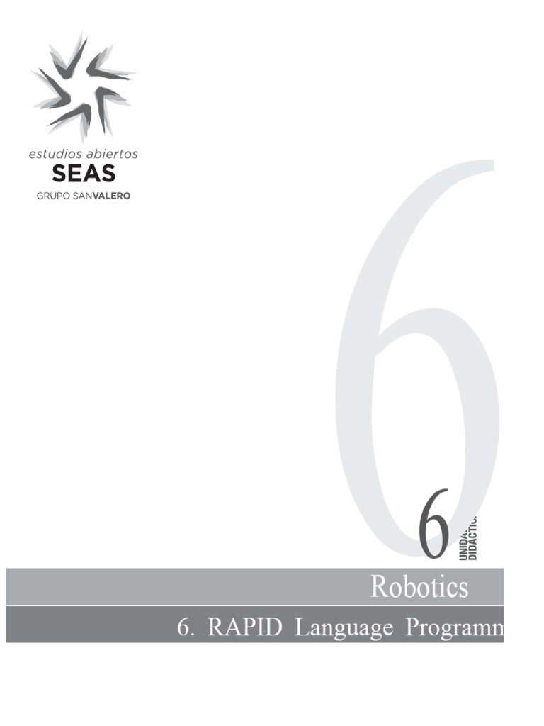 RAPID Language Programming Guide | PDF | Computer Program | Programming