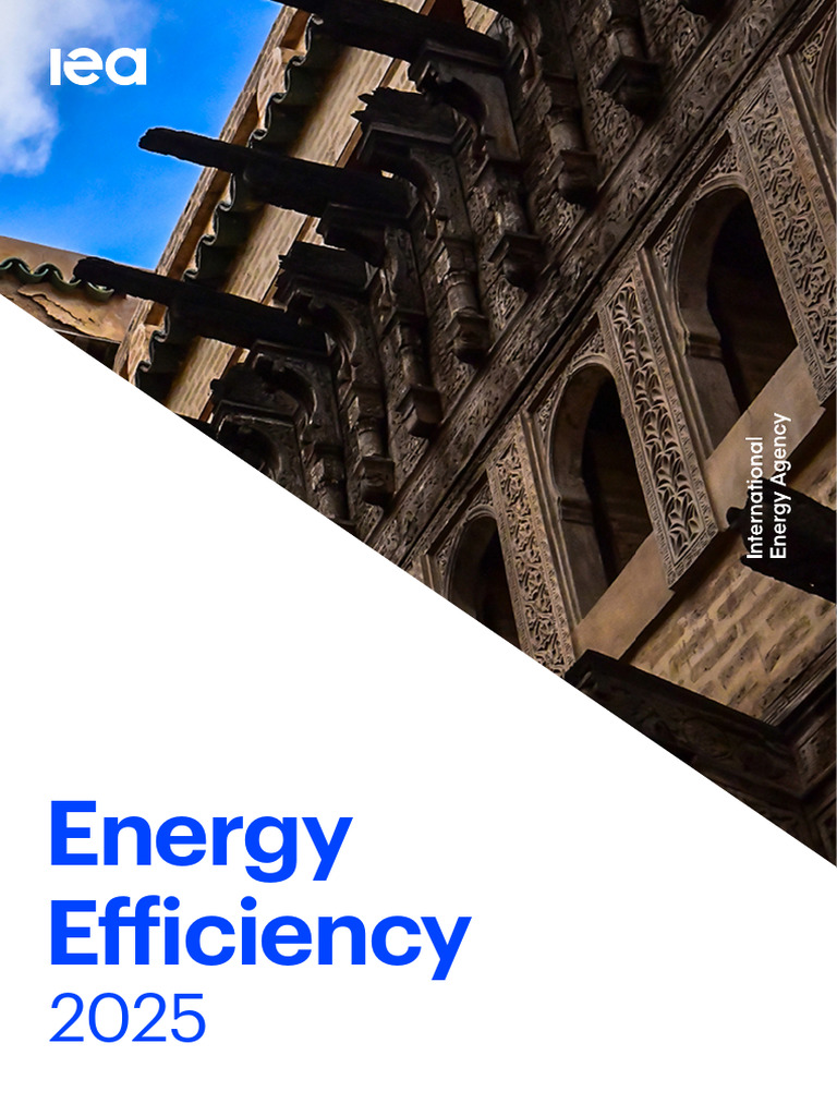 Global Energy Efficiency Trends 2025 | PDF | International Energy ...