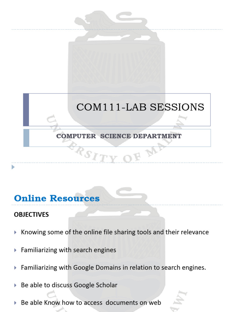 COM111 Lab Lesson 2 | PDF | World Wide Web | Internet & Web