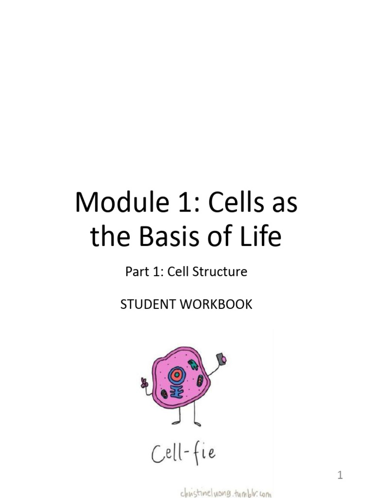Understanding Cell Structure and Function | PDF | Organelle | Microscope