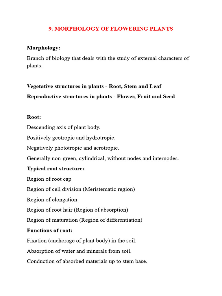 Morphology of Flowering Plants- Root | PDF | Root | Plant Stem