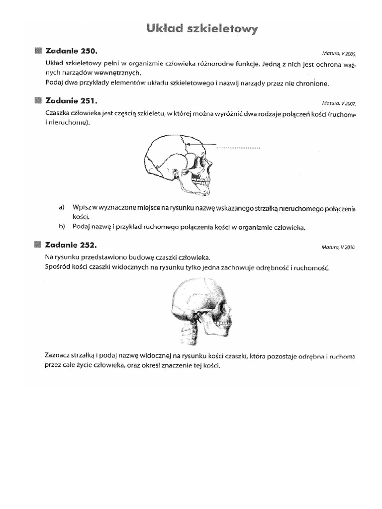 Kostny 1 | PDF