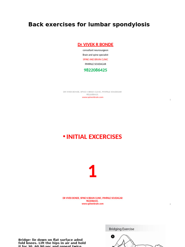 Back Excercises | PDF