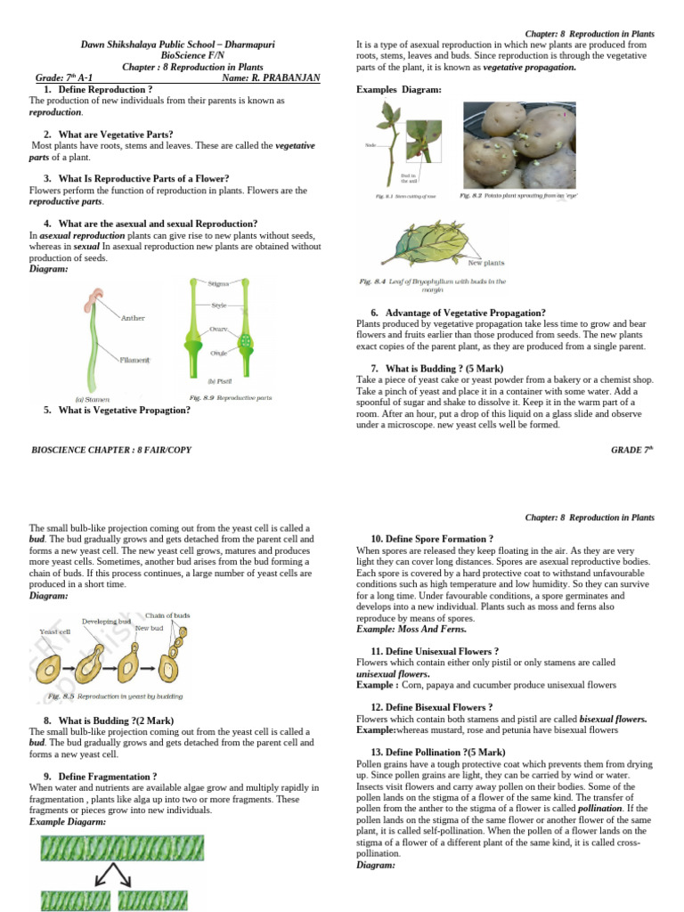 Science CH 8 Q A | PDF | Flowers | Seed
