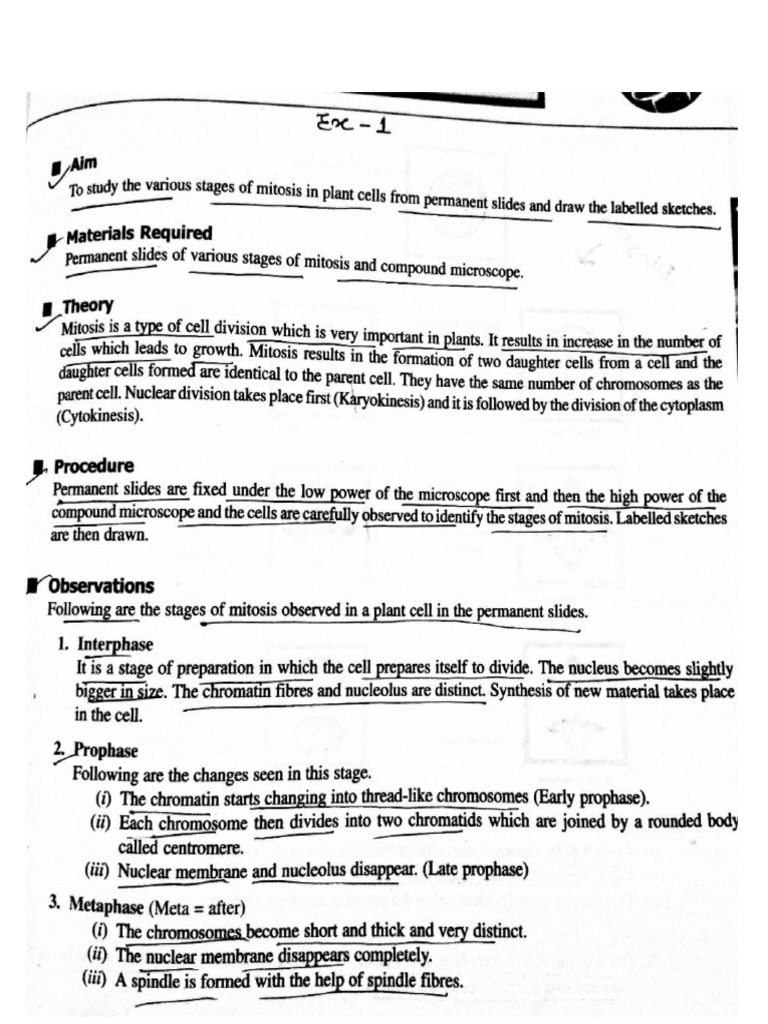 Biology Lab Manual | PDF