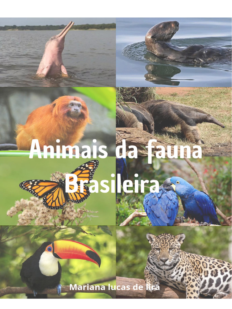 Fauna Brasileira: Onça, Tucano e Borboleta | PDF | Jaguar | Habitat