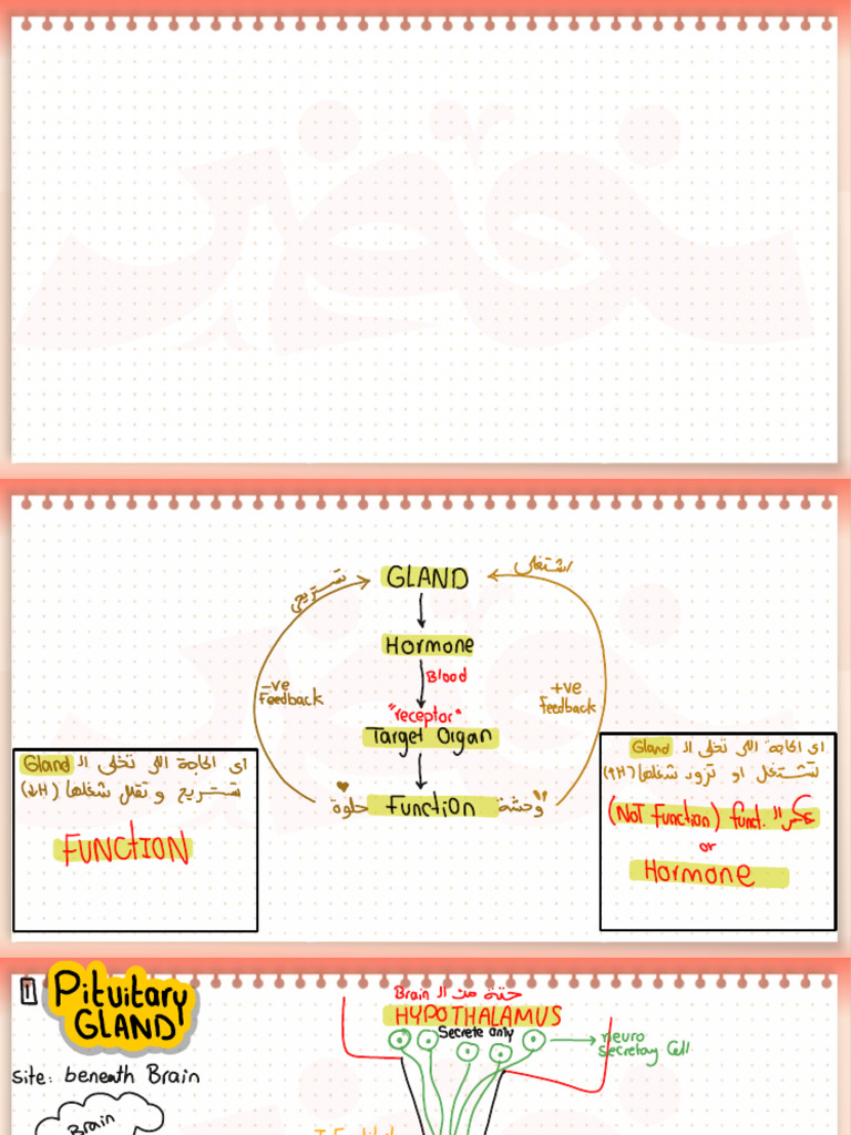 Neiurohypophesis 1 | PDF