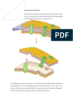 Des de Los Componentes de Membrana