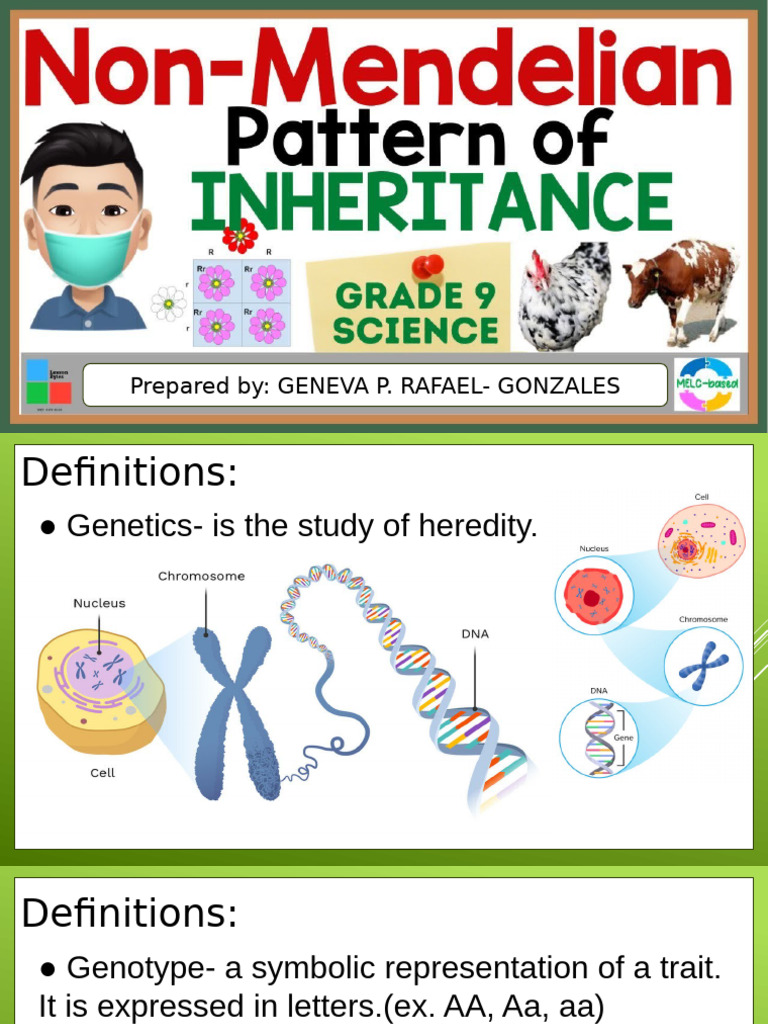 1st Quarter Non Mendelian | PDF | Dominance (Genetics) | Genotype