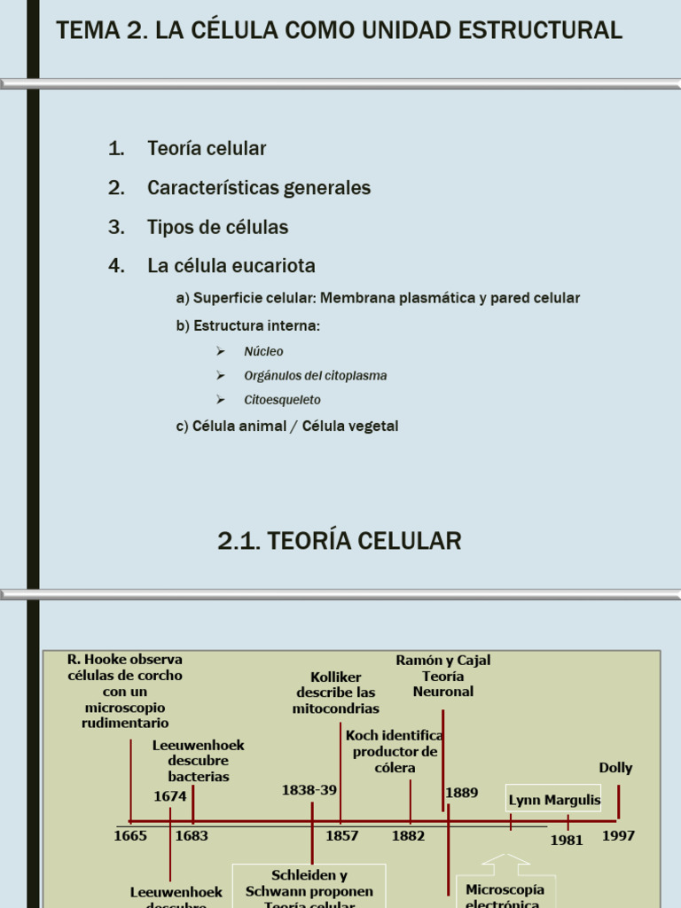 Estructura y Tipos de Células | PDF | Biología Celular) | Eucariotas