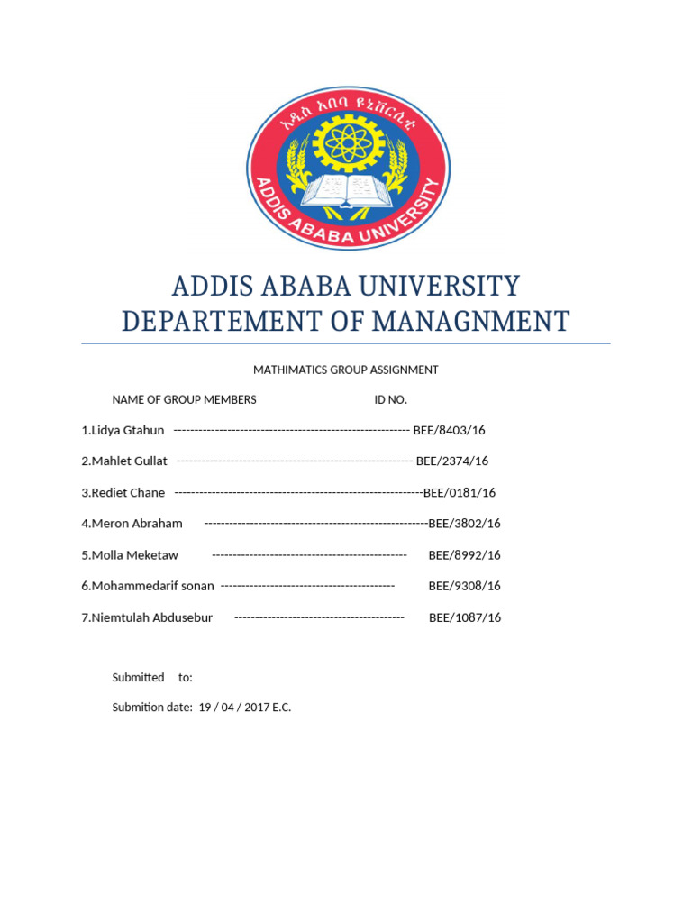Addis Ababa University Group Assignment | PDF