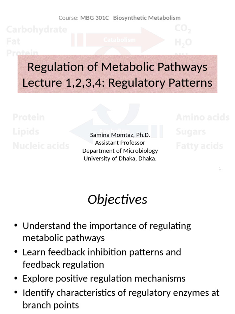 L4 L3 L2 Lecture1 MBG 301 Regulation of Metabolic Pathways SM | PDF ...