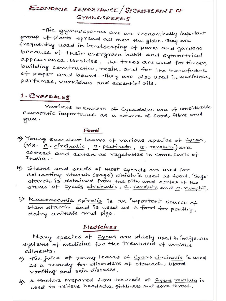 Eco - Imp Gymnosperms | PDF