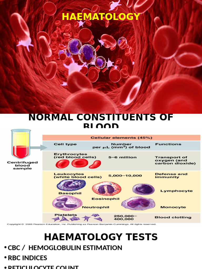 Haematology | PDF | Red Blood Cell | Blood