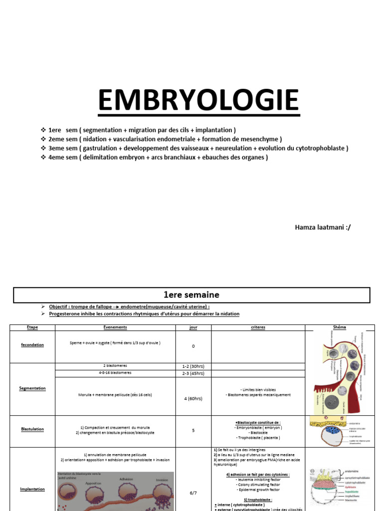 Développement embryonnaire : étapes clés | PDF | la reproduction ...