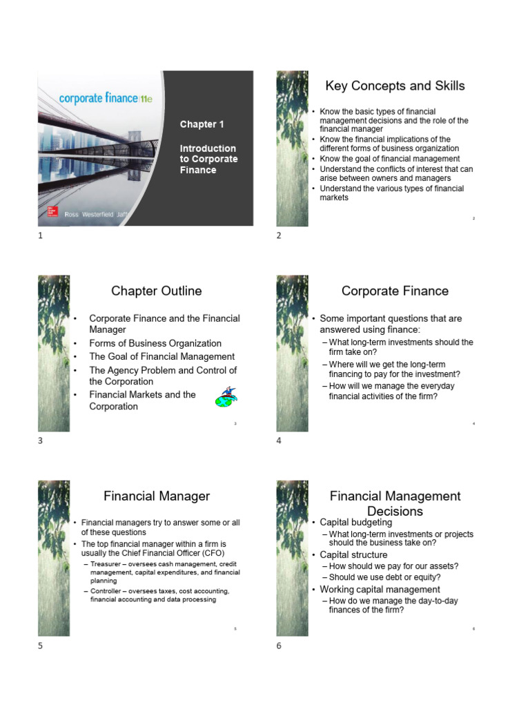 Introduction to Corporate Finance Concepts | PDF | Net Present Value ...