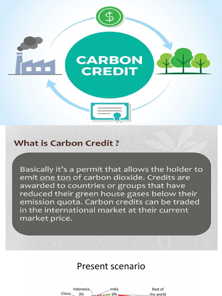 Carbon Credit - Copy | PDF