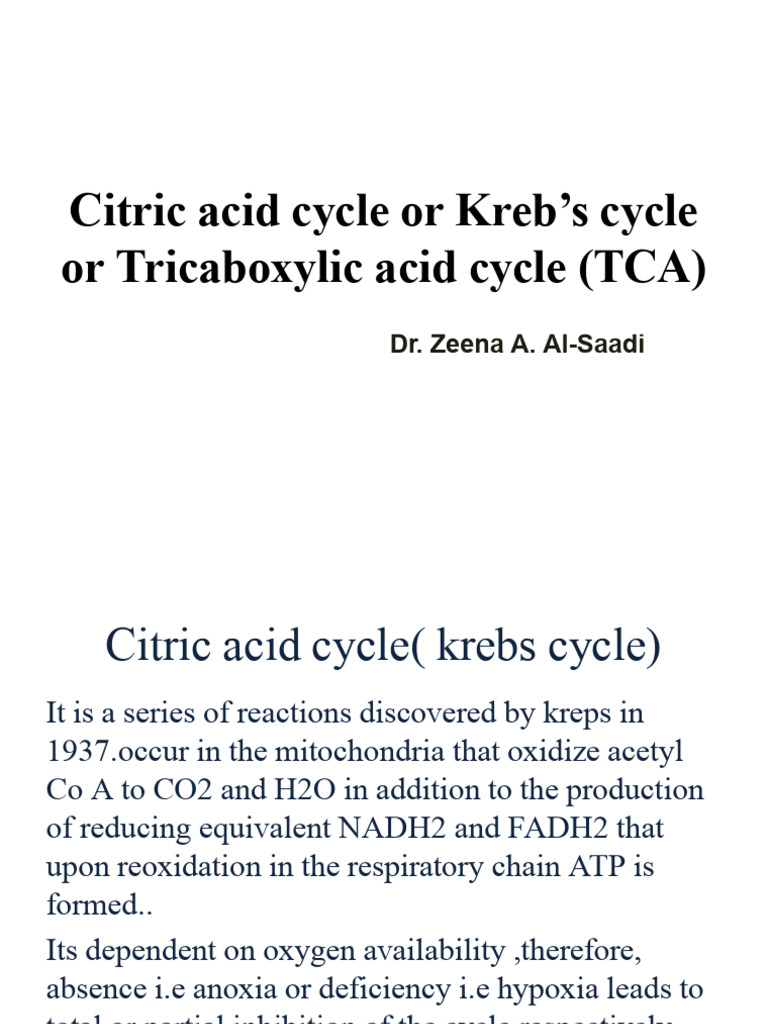 Understanding the Citric Acid Cycle | PDF | Diet & Nutrition | Chemistry