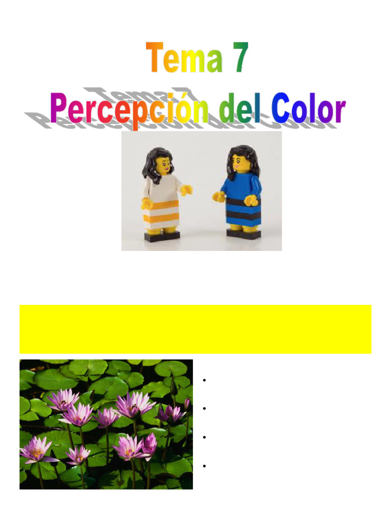 Percepción del Color: Teorías y Funciones | PDF | Color | Matiz