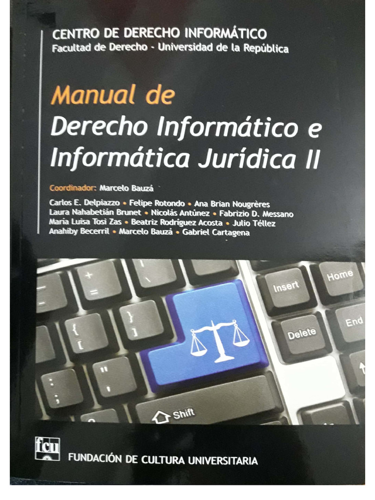 Manual de Derecho Informatico e Informatica Juridica 2 | PDF