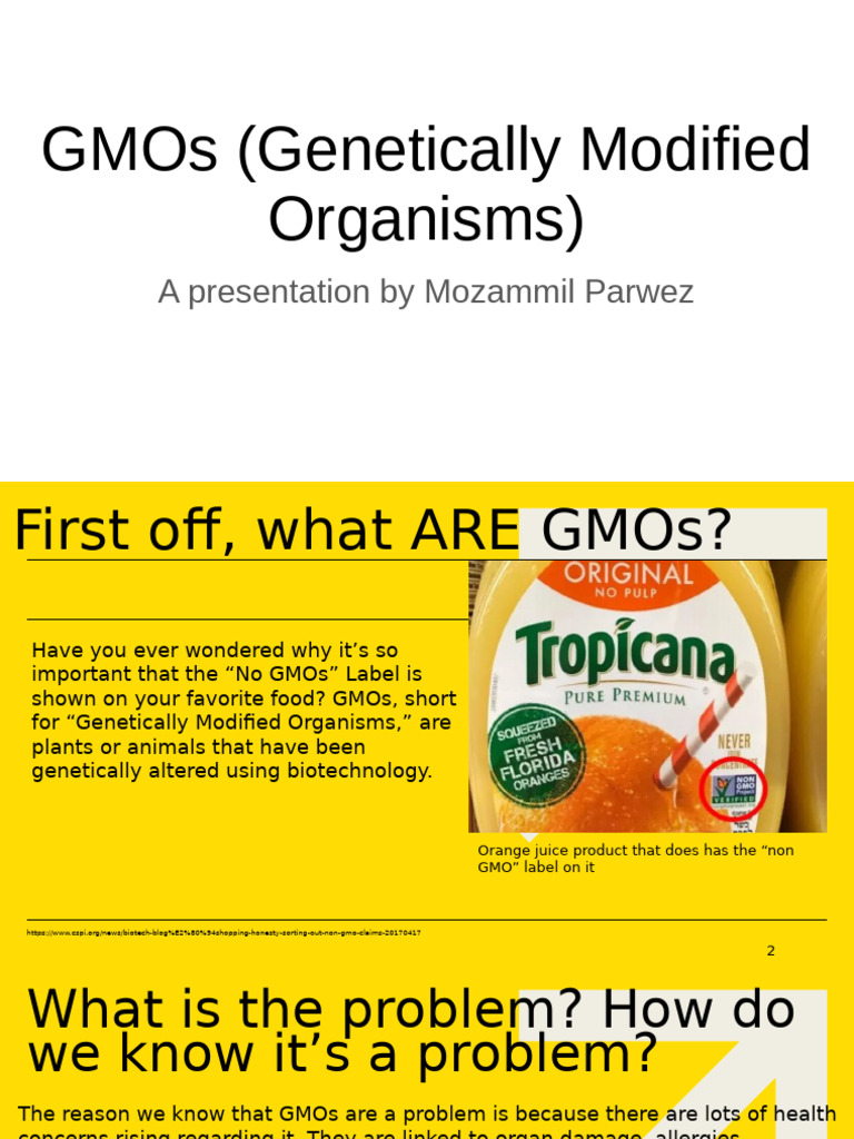 Understanding GMOs: Risks and Impacts | PDF | Genetically Modified ...
