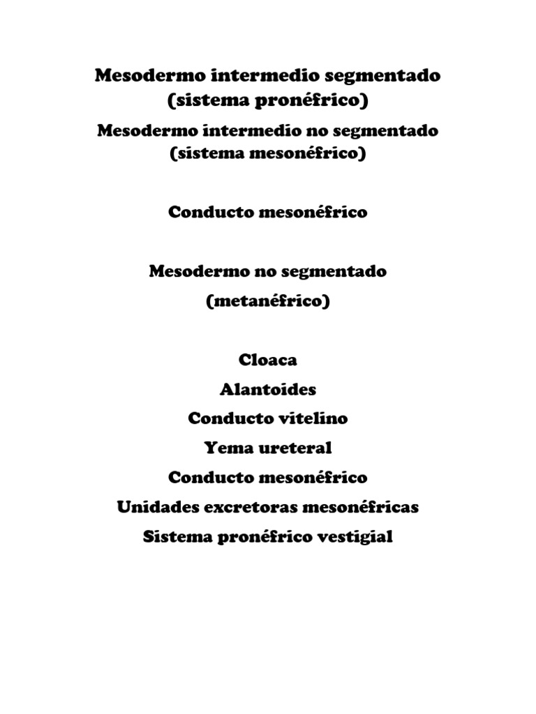 Sistem As Renal e Senel Embrion | PDF