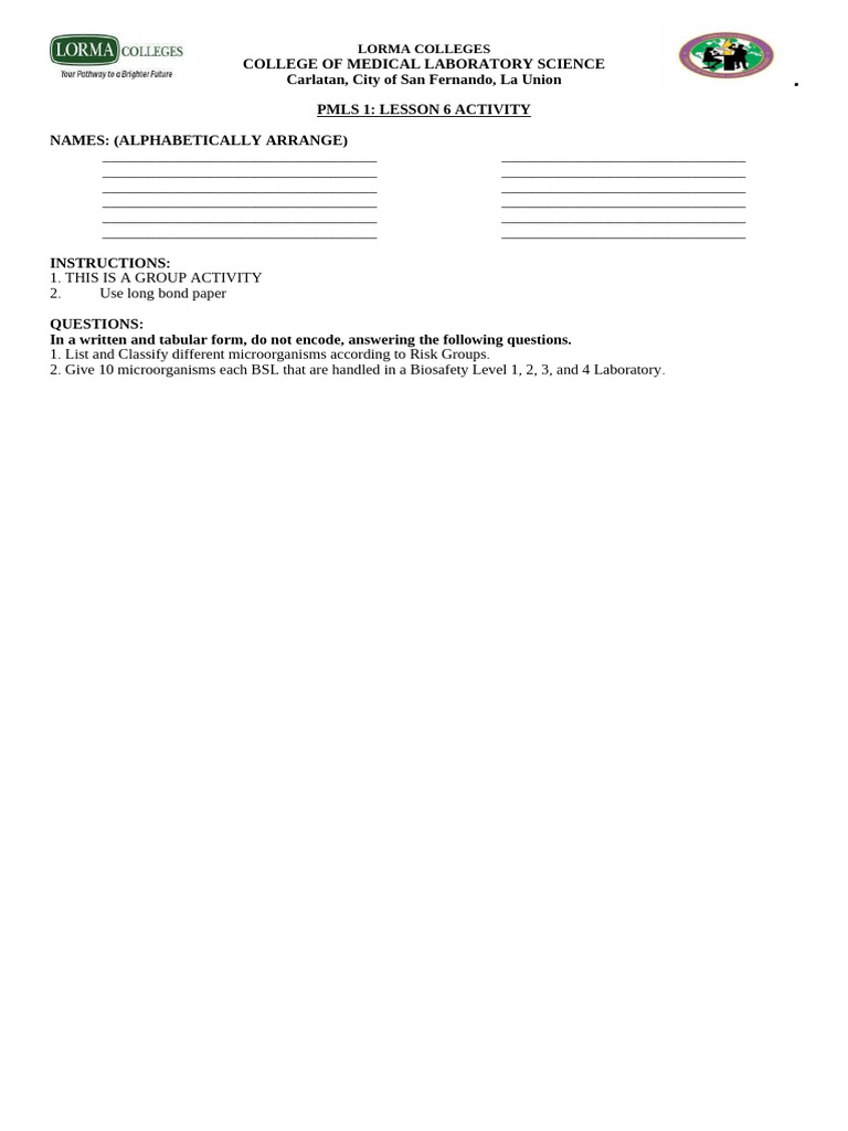 Pmls 1 Lesson 6 Activity | PDF
