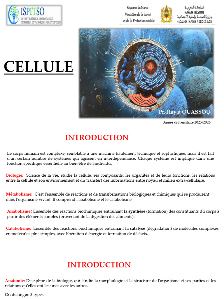 La Cellule | PDF | Membrane cellulaire | Mitose