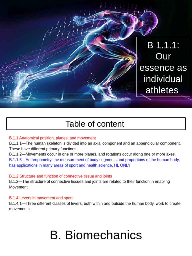 Topic B Biomechanics B.1.1.1 | PDF | Vertebra | Anatomical Terms Of ...