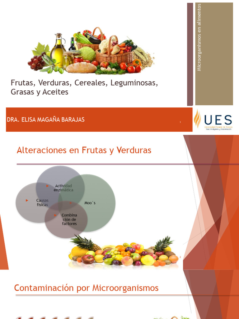 Microorganismos y Alteraciones en Alimentos | PDF | Molde | Descomposición