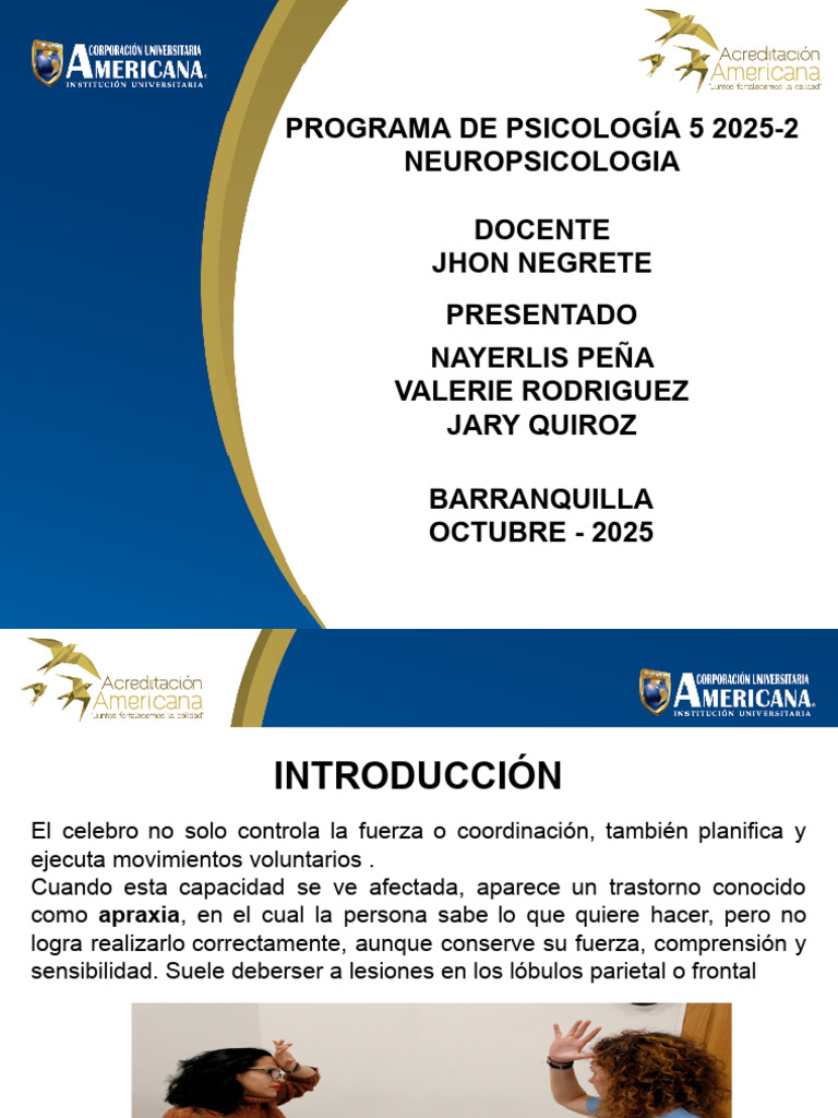 Neuro Psi | PDF | Sistema nervioso | Neurociencia