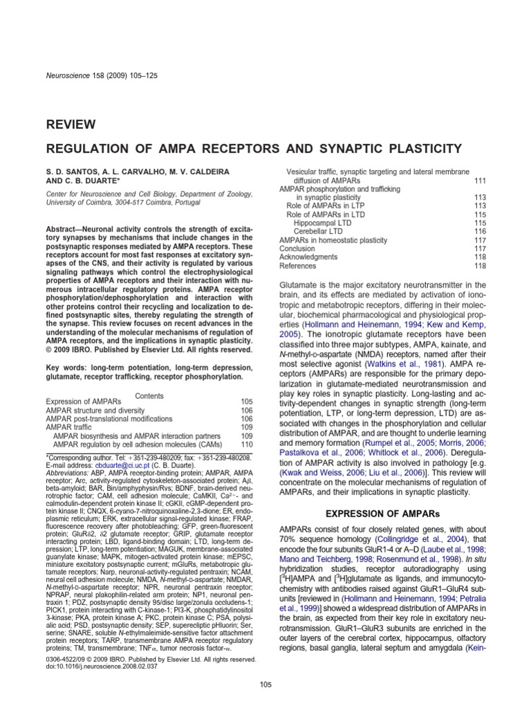 AMPA Receptor Regulation in Synaptic Plasticity | PDF | Synaptic ...