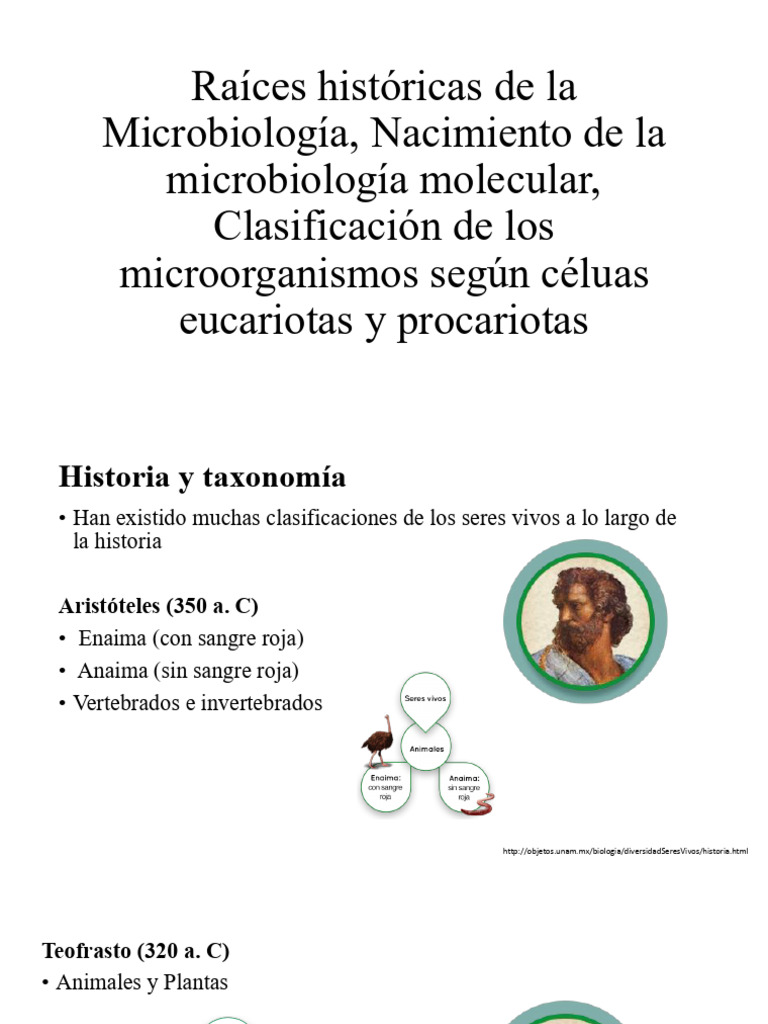 Historia y Clasificación de Microorganismos | PDF | Biología Celular ...