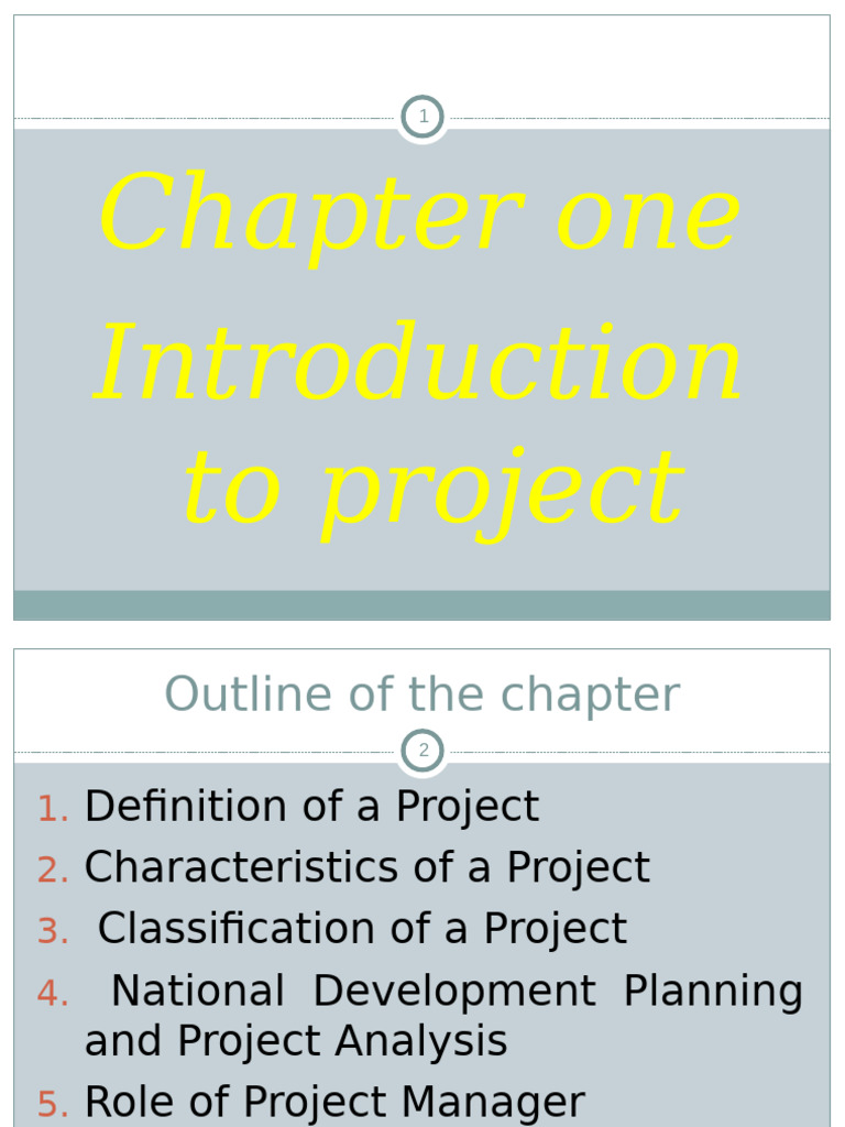 Understanding Project Management Basics | PDF | Project Management | Policy