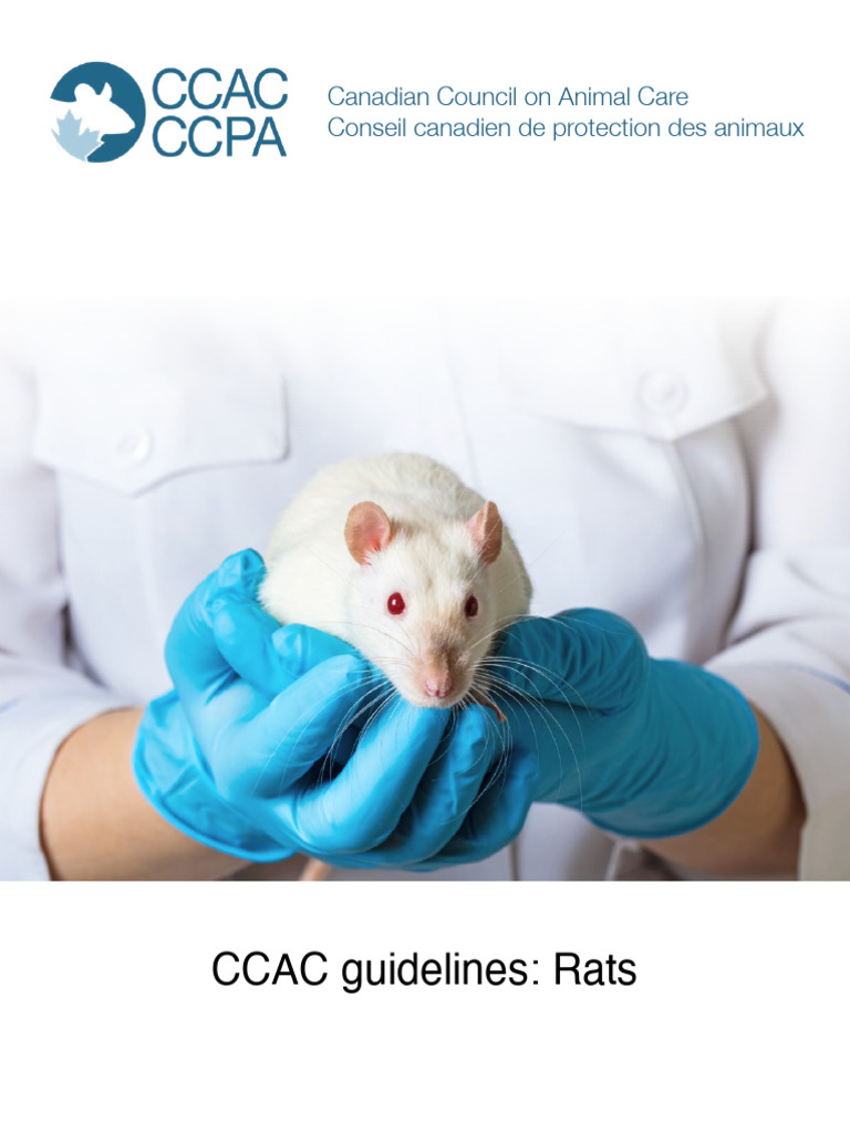 CCAC Guidelines Rats-Sept2022 | PDF | Animal Welfare | Zoology