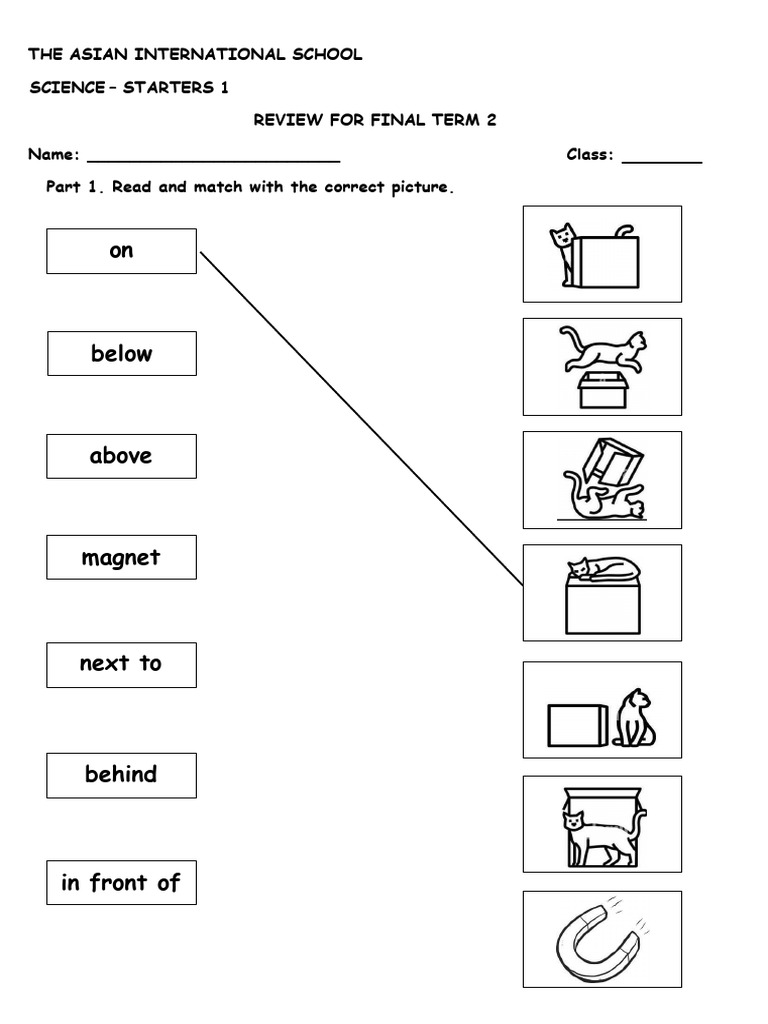 Science Review for Term 2 - Grade 1 | PDF