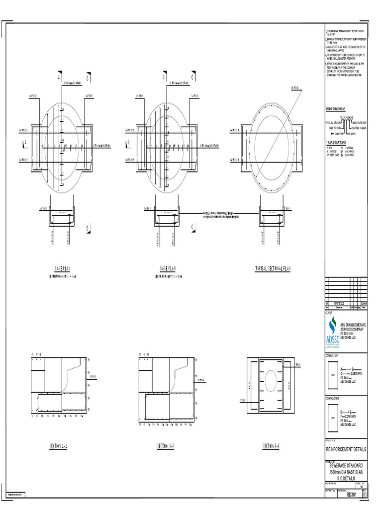 RD301 | PDF