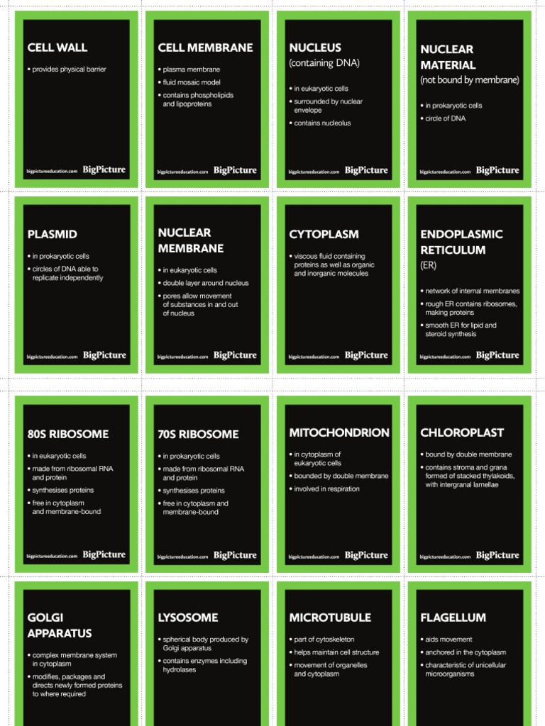What's in That Cell Cards | PDF