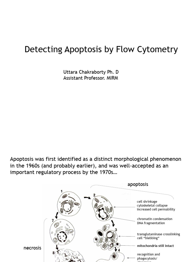 Flow Cytometry for Apoptosis Detection | PDF | Apoptosis | Flow Cytometry