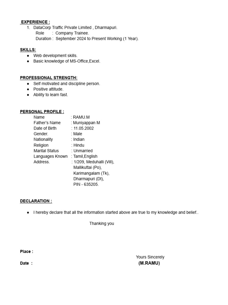 Ramu M's Professional Profile Summary | PDF