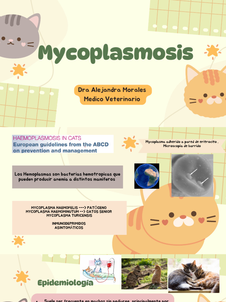 11 Mycoplasmosis | PDF | Infección | Anemia