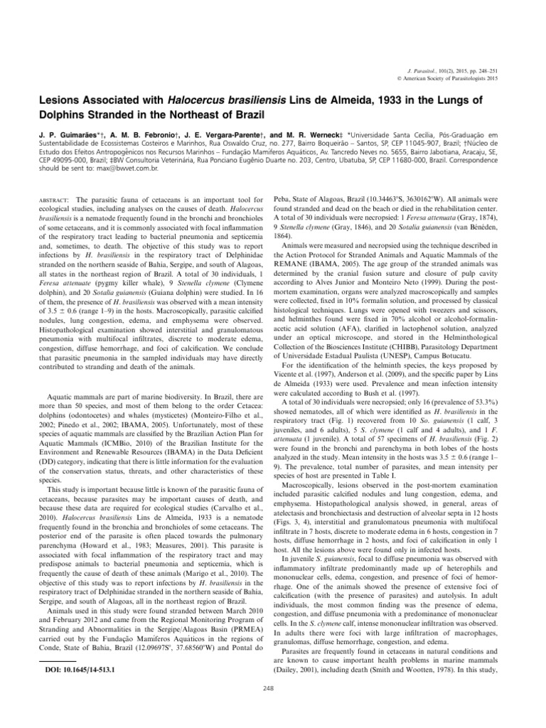 Halocercus brasiliensis in Stranded Dolphins | PDF | Pneumonia ...
